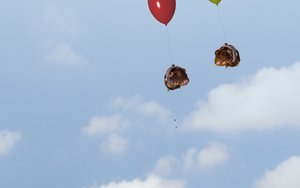 東豐縣軟件開發(fā)有限責任公司