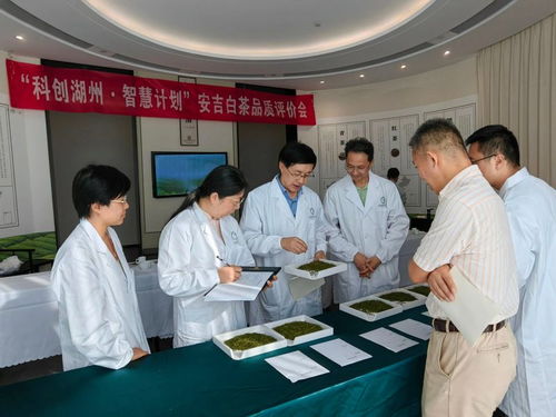 科創(chuàng)湖州 智慧計(jì)劃——中國(guó)茶葉學(xué)會(huì)茶產(chǎn)業(yè)服務(wù)團(tuán)走進(jìn)安吉活動(dòng)策劃方案